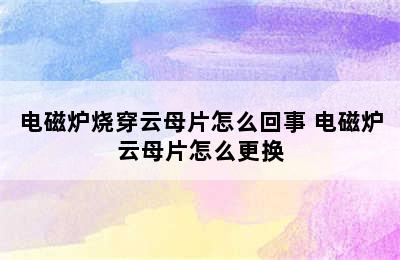 电磁炉烧穿云母片怎么回事 电磁炉云母片怎么更换